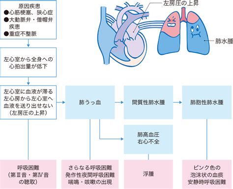 呼吸困難心理作用|1 呼吸困難のメカニズム